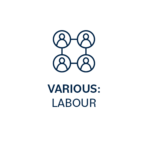Various: Labour
