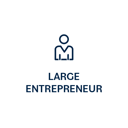 Large entrepreneur