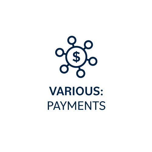 Various Payments