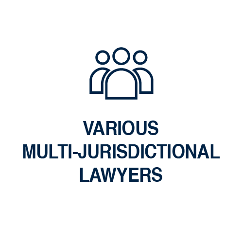 Team of multi-jurisdictional lawyers