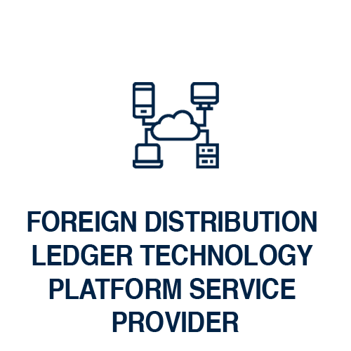 Foreign Distribution Ledger Technology Platform Service Provider